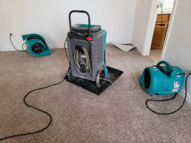 Best 24/7 water damage repair  in Norwich, NY