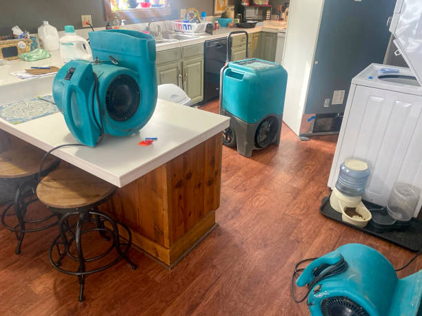Best Water damage contractors near me  in Norwich, NY