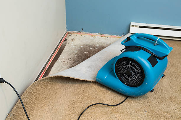 Best 24-hour water damage restoration  in Norwich, NY